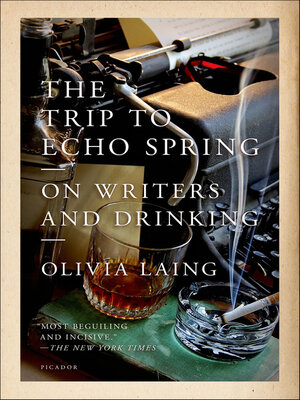 cover image of The Trip to Echo Spring